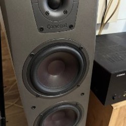 Колонки Hi-Fi DALI Concept 6 - фото 5