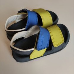 Image 5