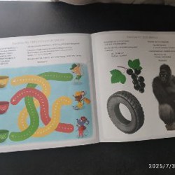 Image 7