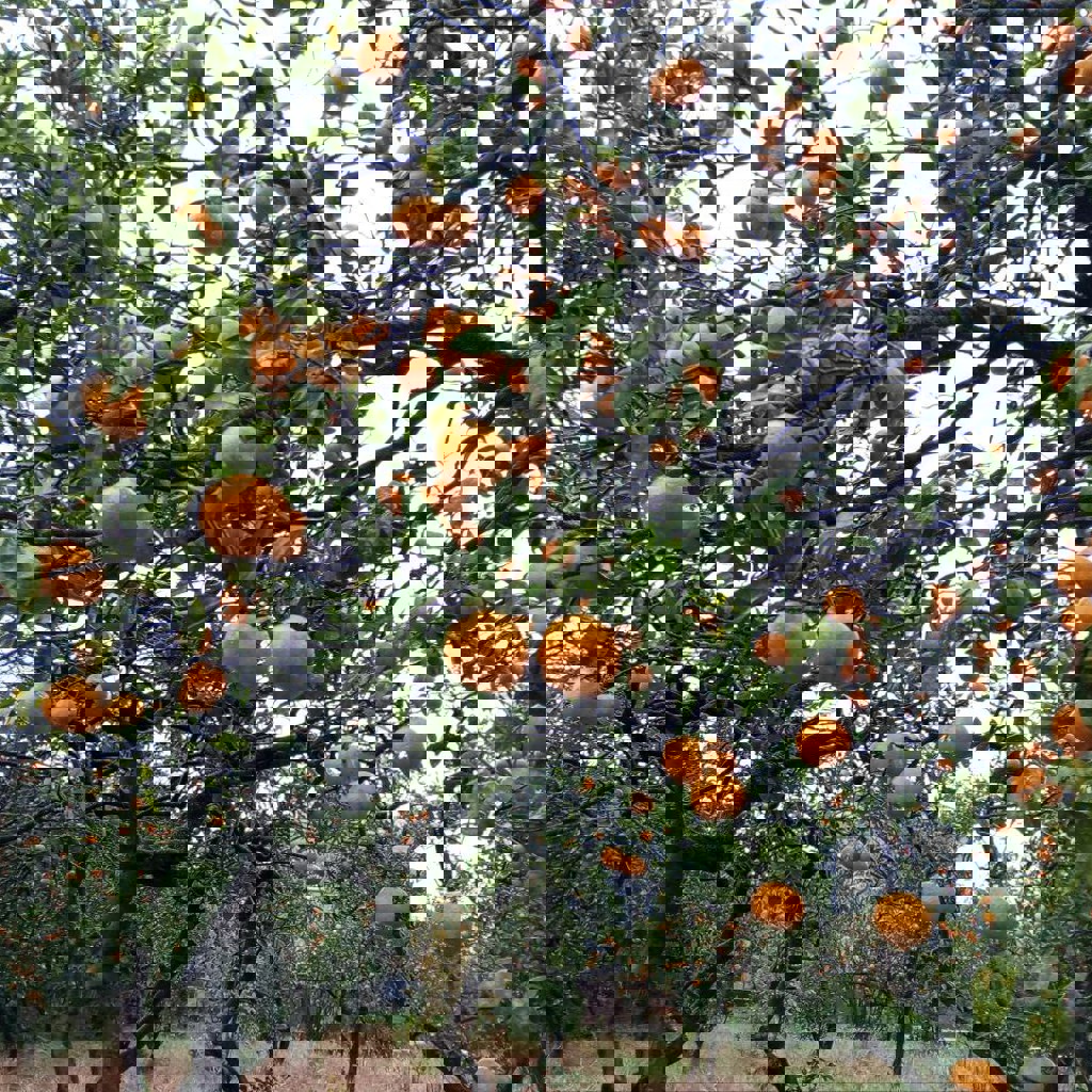 Набор доктора