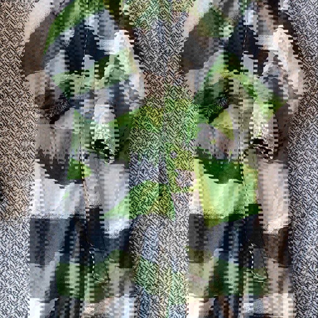 Комбинезон Lassie