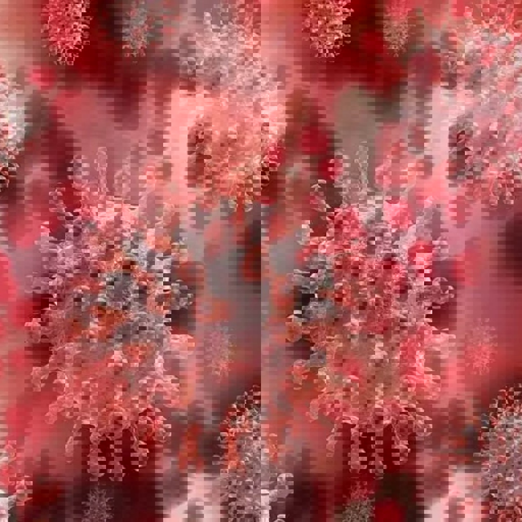 Гонконгский вирус (H3N2)