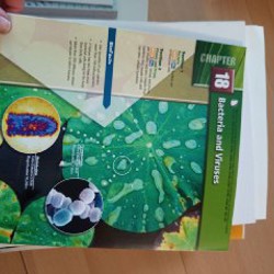 Учебники для билингвальной программы - фото 5