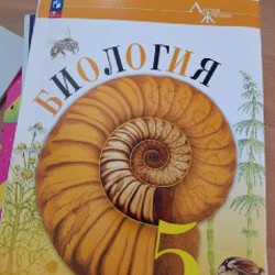 Учебники для билингвальной программы 5 класса - фото 3