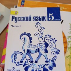 Учебники для билингвальной программы 5 класса - фото 4