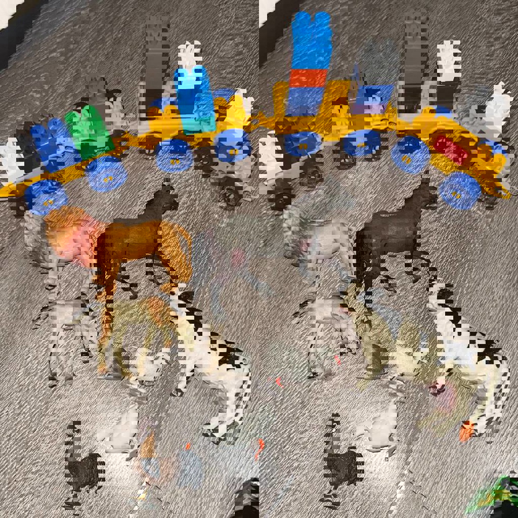 Набор игрушек