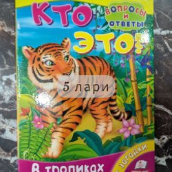 Детские книги и развивающие игрушки - фото 10