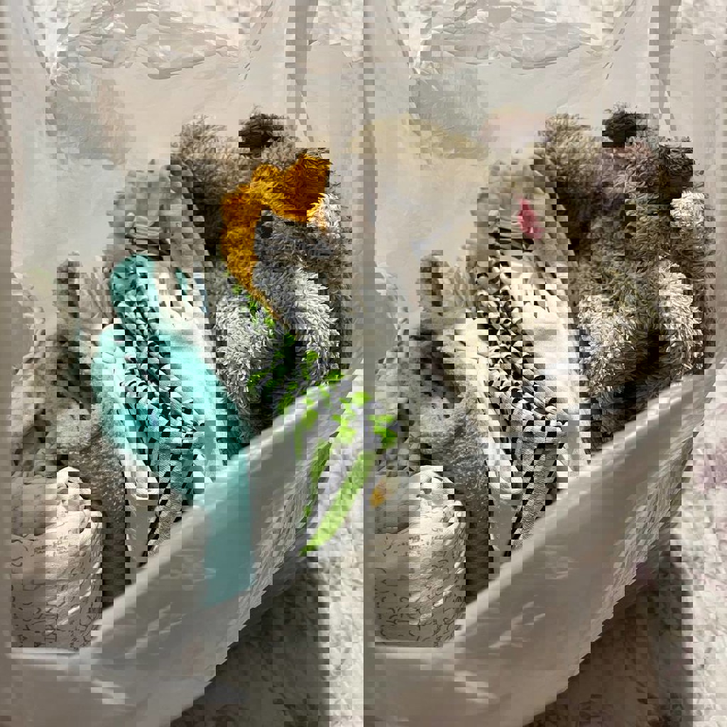 Пакет вещей