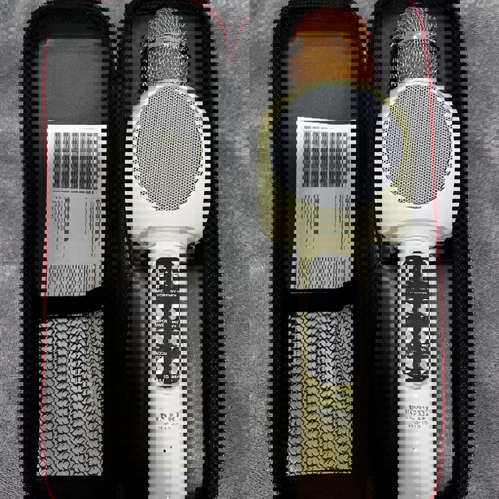 Паук декоративный