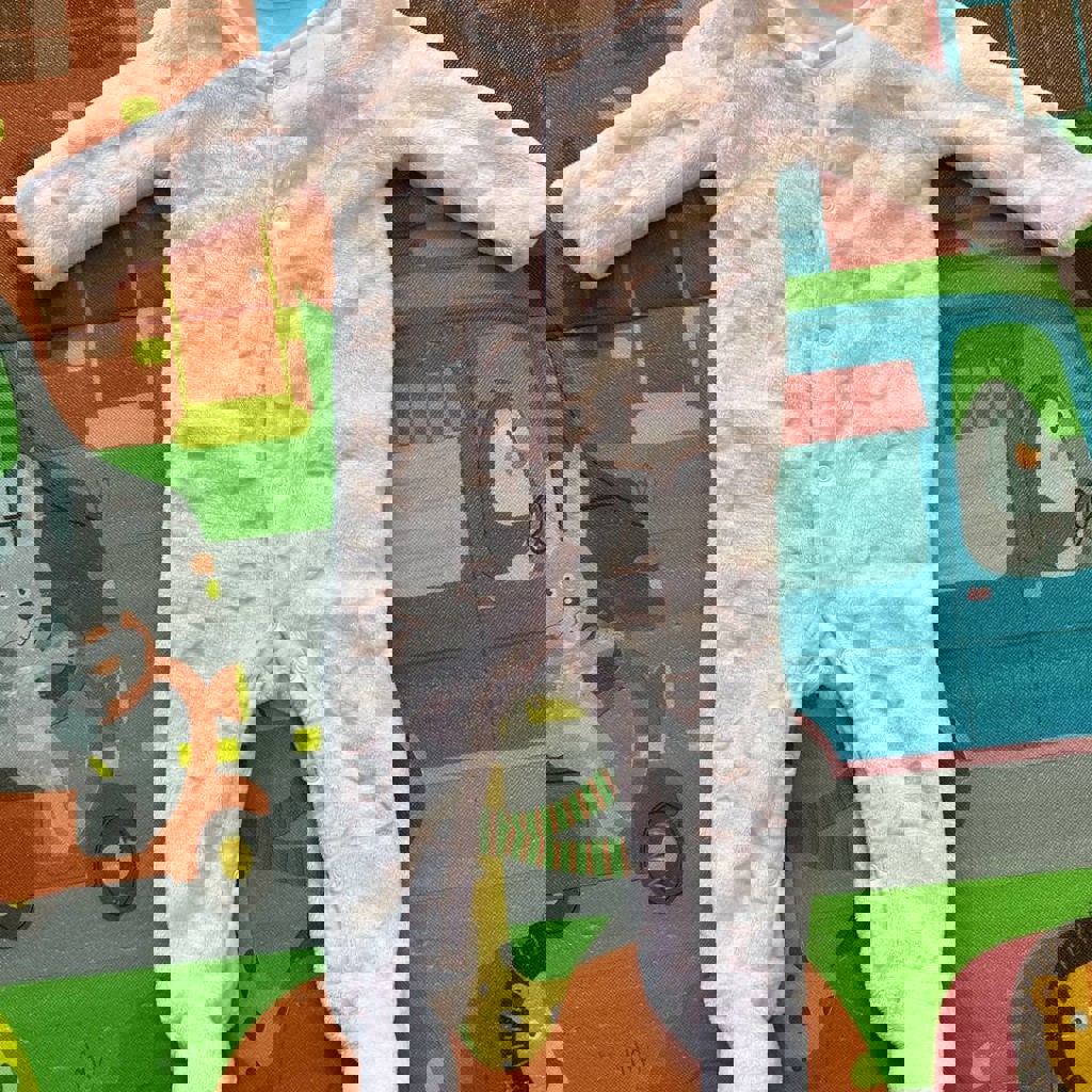 Слип-комбинезон Mother care