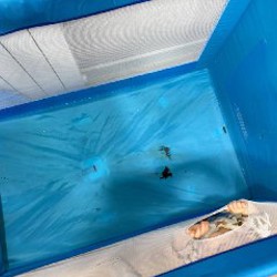 Кровать детская - фото 5