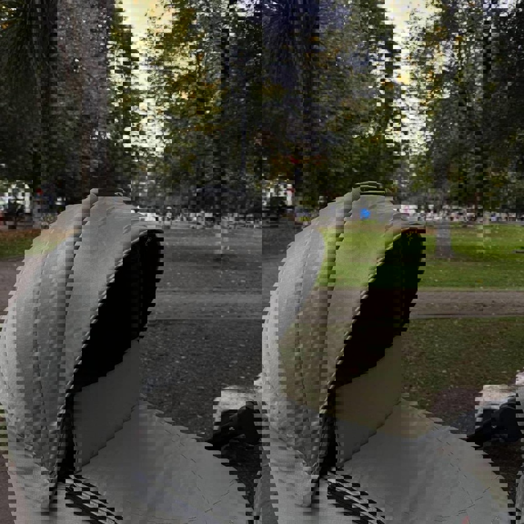 Коляска Kikkaboo 2в1