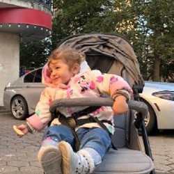 Коляска - фото 2