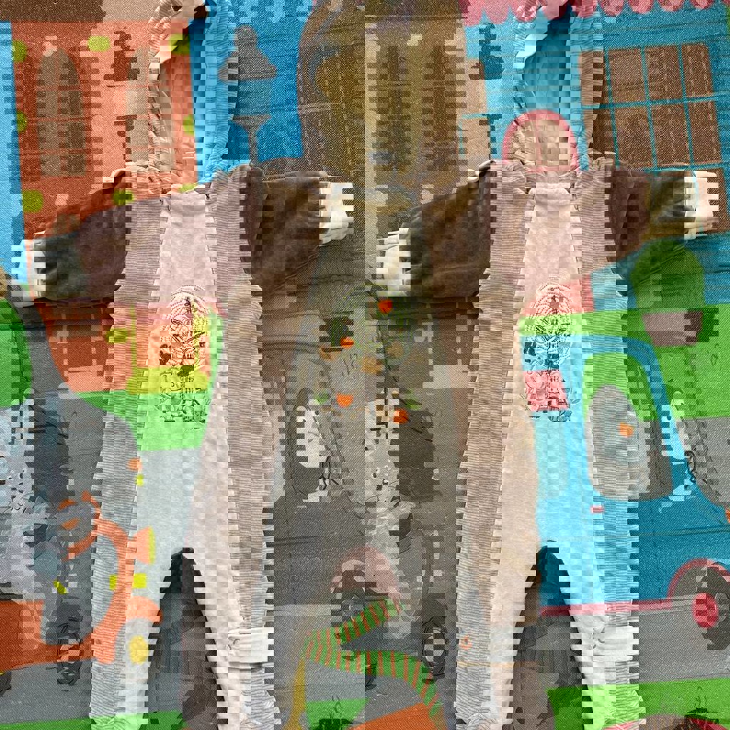 Демисезонный комбинезон