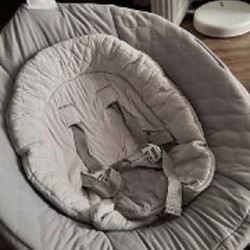 Электрокачеля - фото 3