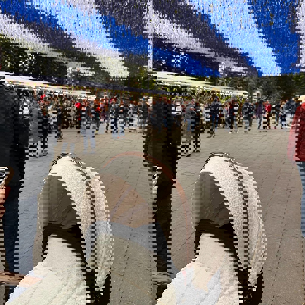 Коляска AULON 3в1