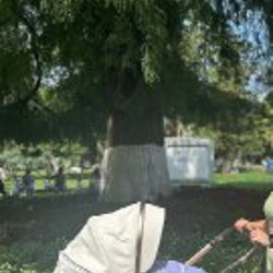 Коляска AULON 3в1 - фото 4