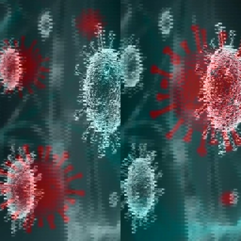 Респираторно-синцитиальный вирус