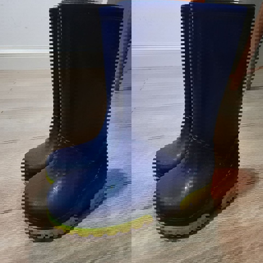 Резиновые сапоги