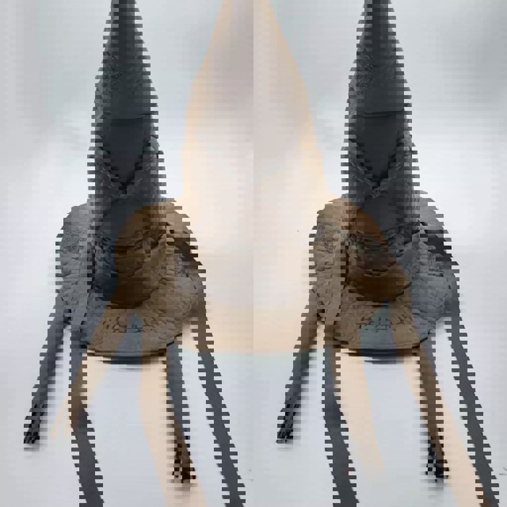 Распределяющая шляпа