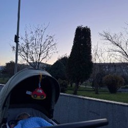 Коляска Kikkaboo Thea - фото 4