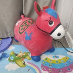 Прыгун - фото 4