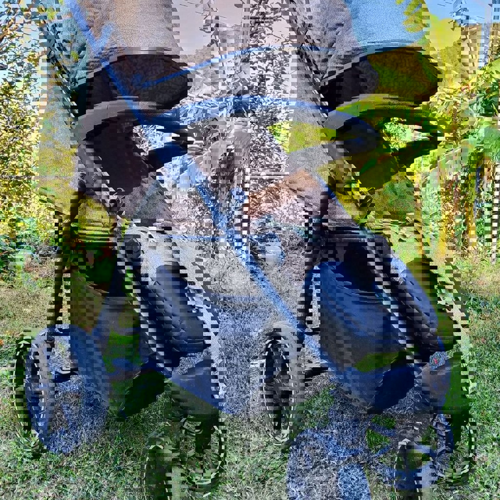 Коляска трансформер