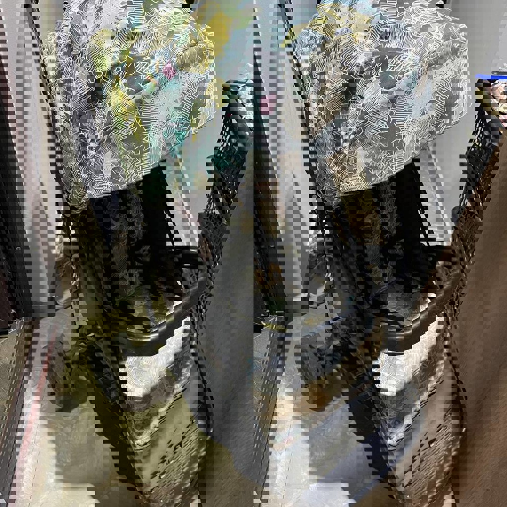 Коляска Graco