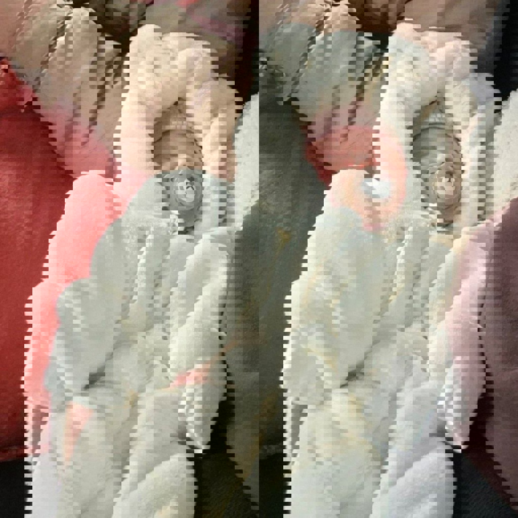 Костюмчик зеленый