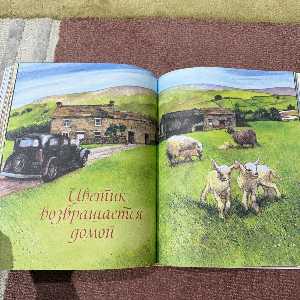 Рассказы о животных