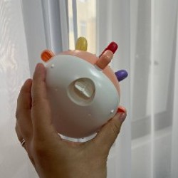 Сортер - фото 2