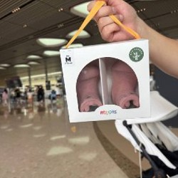 Аттипасы - фото 4