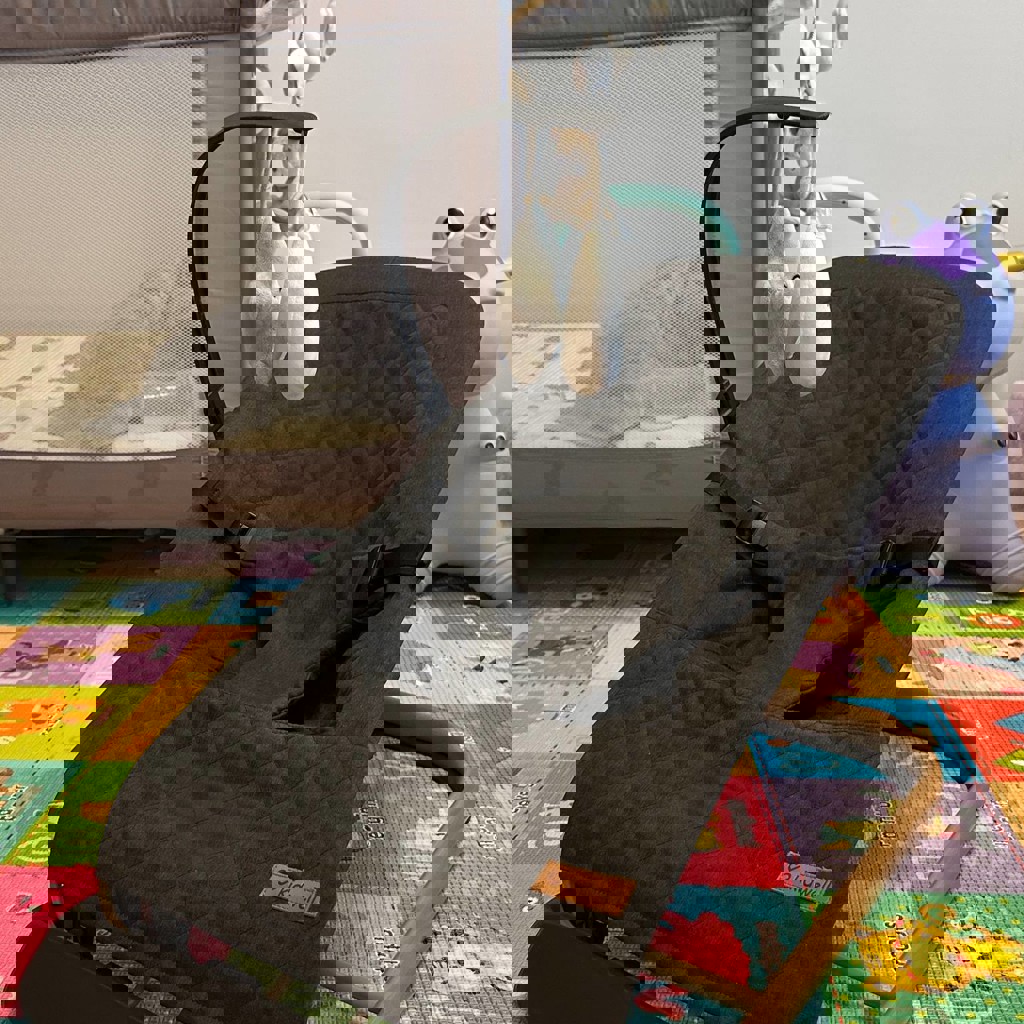 Шезлонг для малыша Kidwell