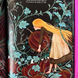 Золушка - фото 2