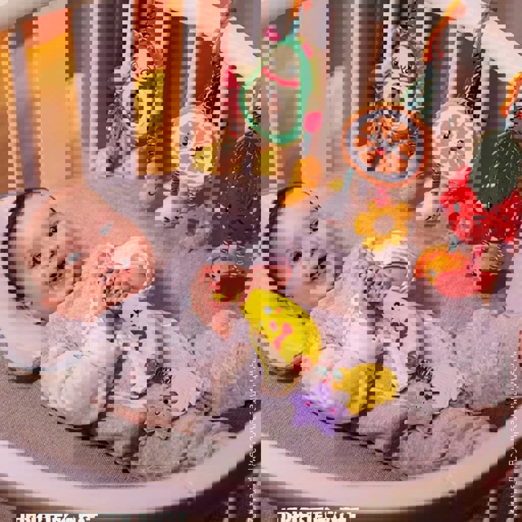 Развивающие подвесные игрушки Zeimas