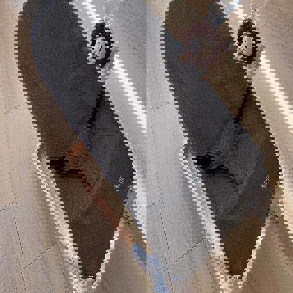 Детское кресло шезлонг Caretero Pine Grey