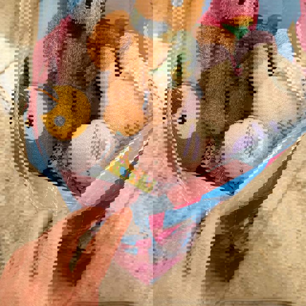 Пакет мягких игрушек