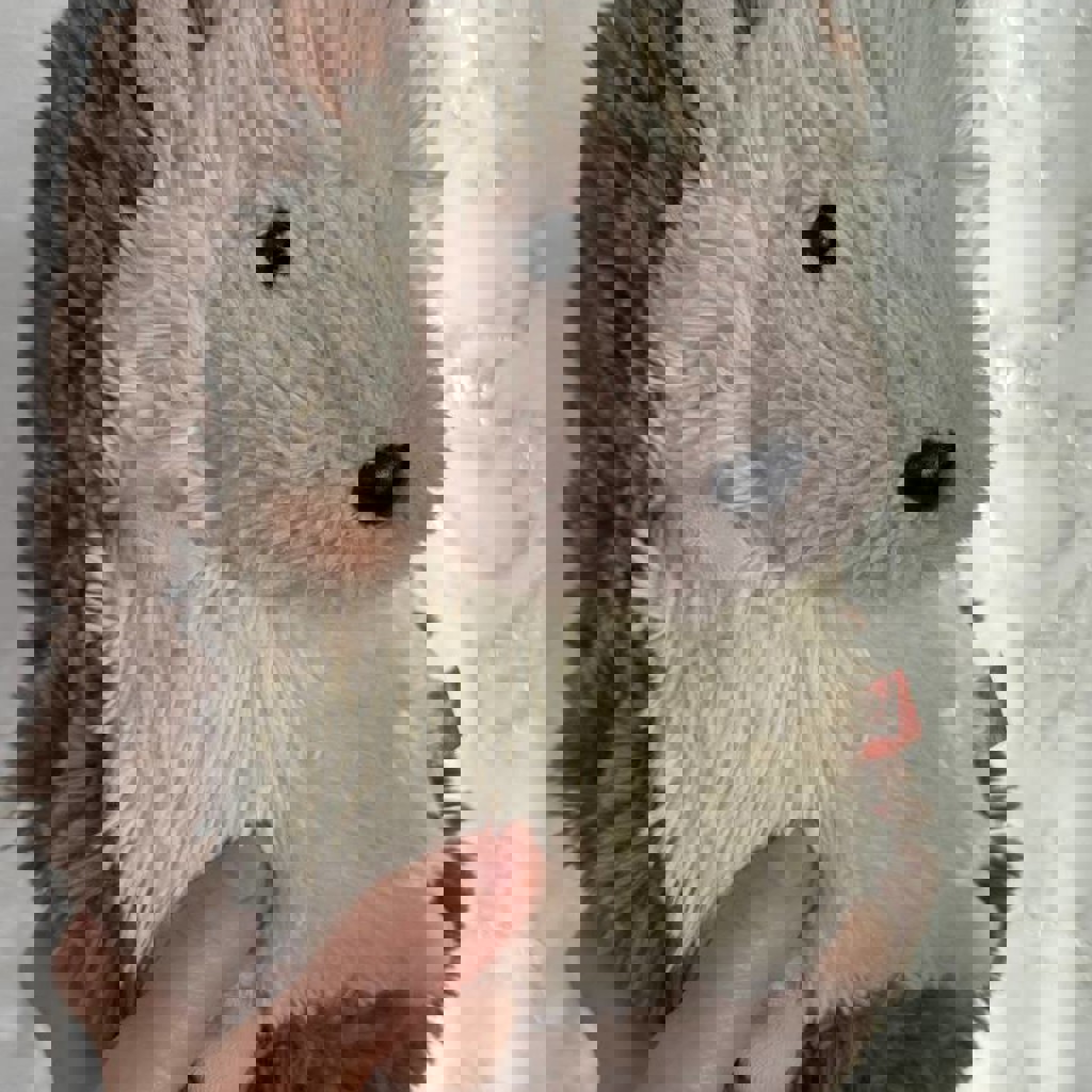 Плюшевый Ёжик Fancy