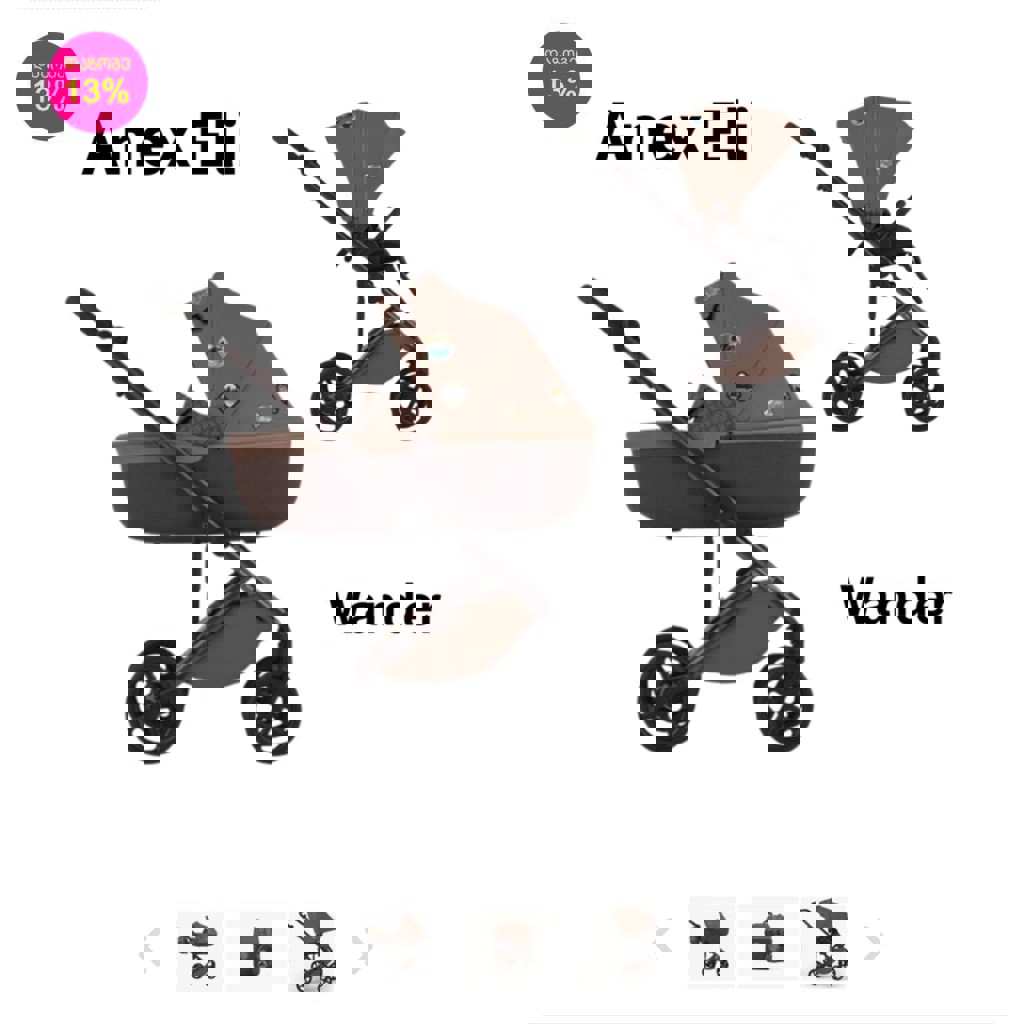 Коляска Anex Eli Wander 2в1