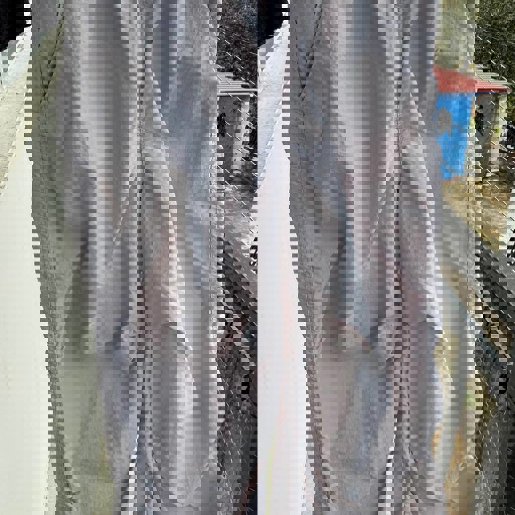 Штаны карго H&M