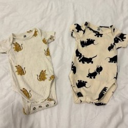 Пустышки - фото 3