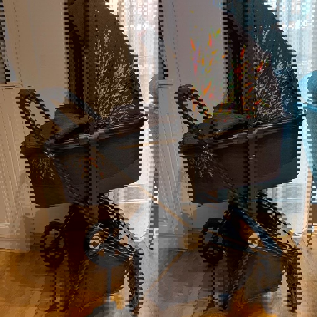 Коляска Lionelo