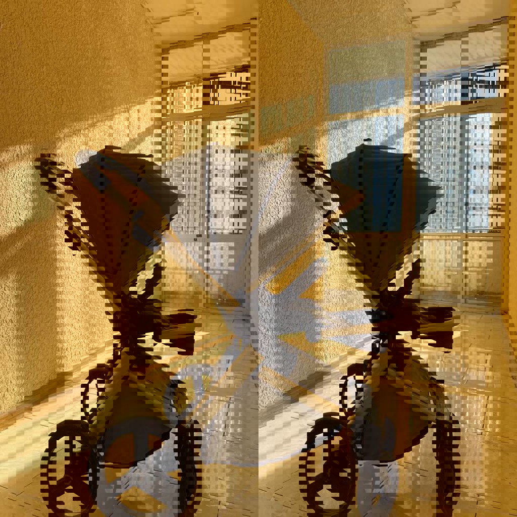 Детская коляска Anex L type