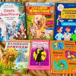 Книги - фото 2