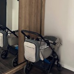 Коляска Anex IQ - фото 2