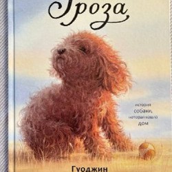 Дневник слабака - фото 4