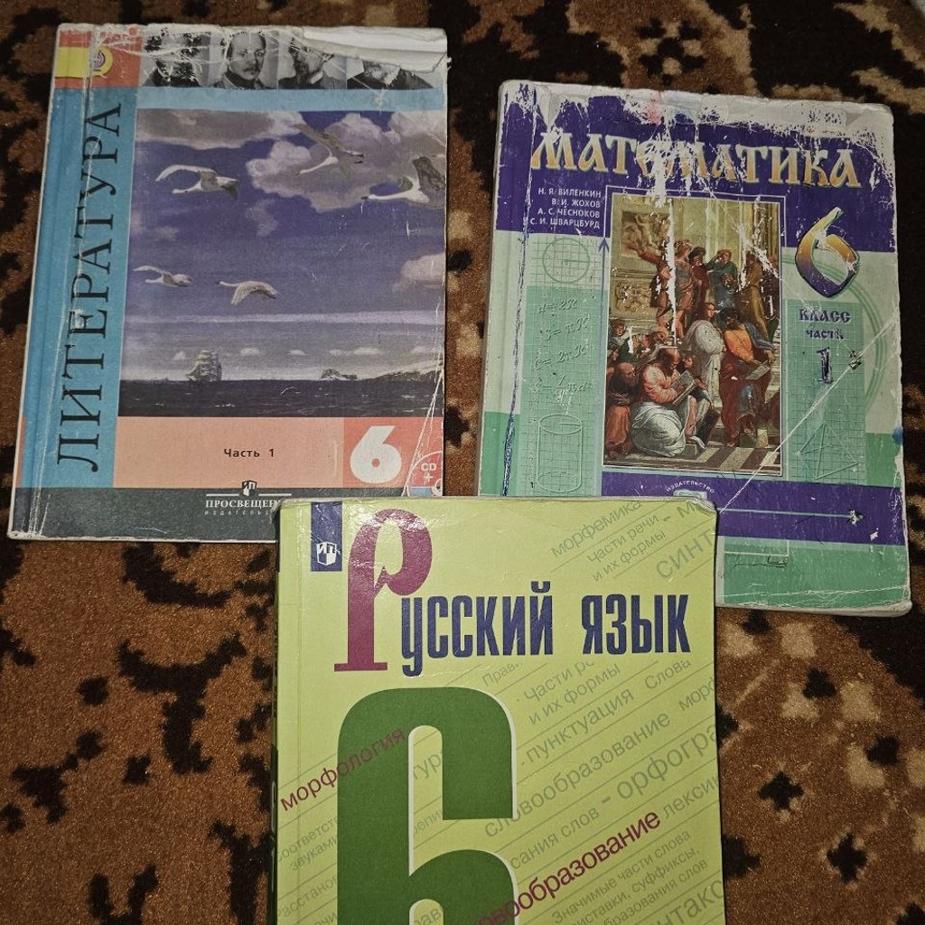 Учебники по математике, русскому и литературе