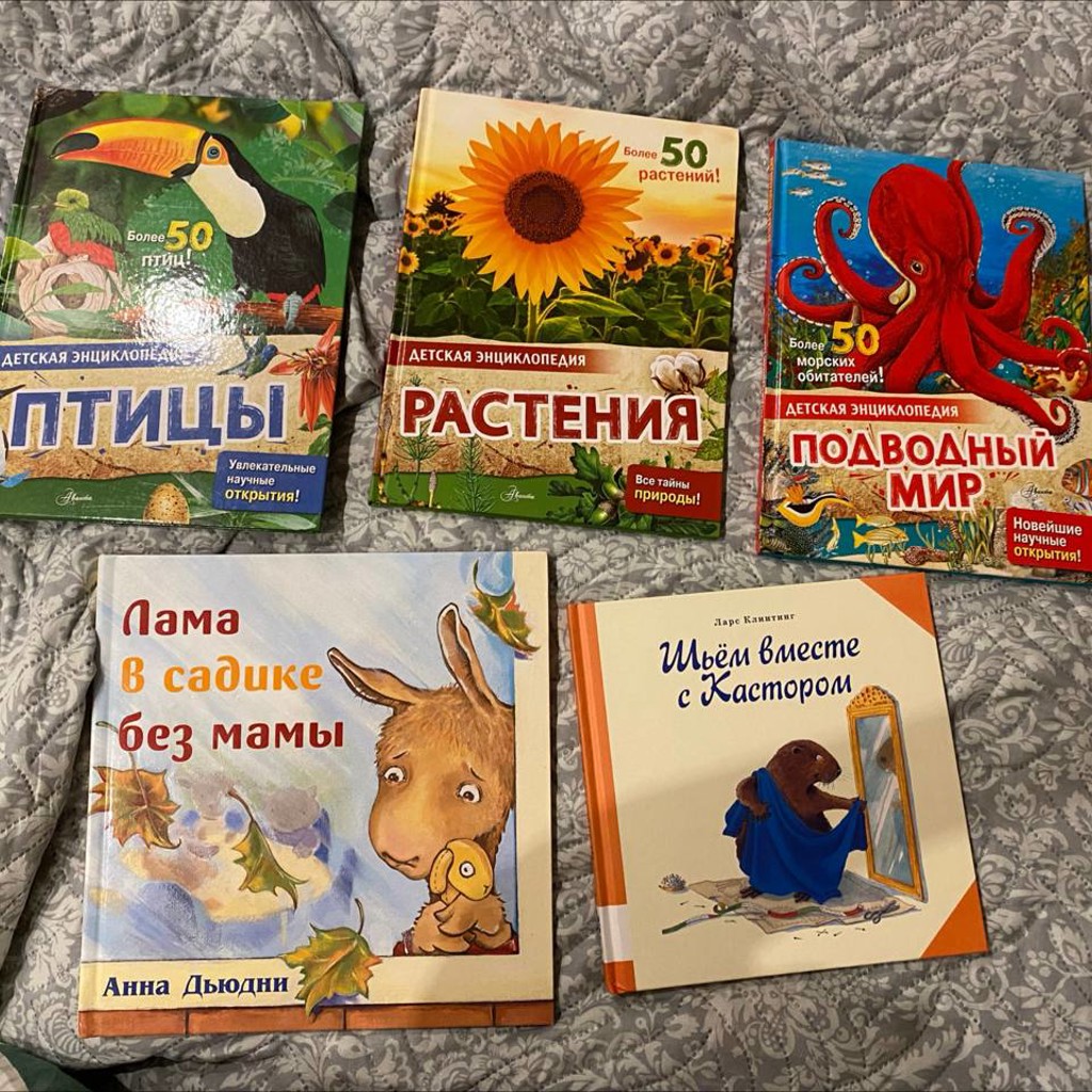 Лама в садике без мамы