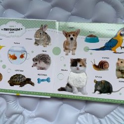 Веселые пупырышки - фото 4