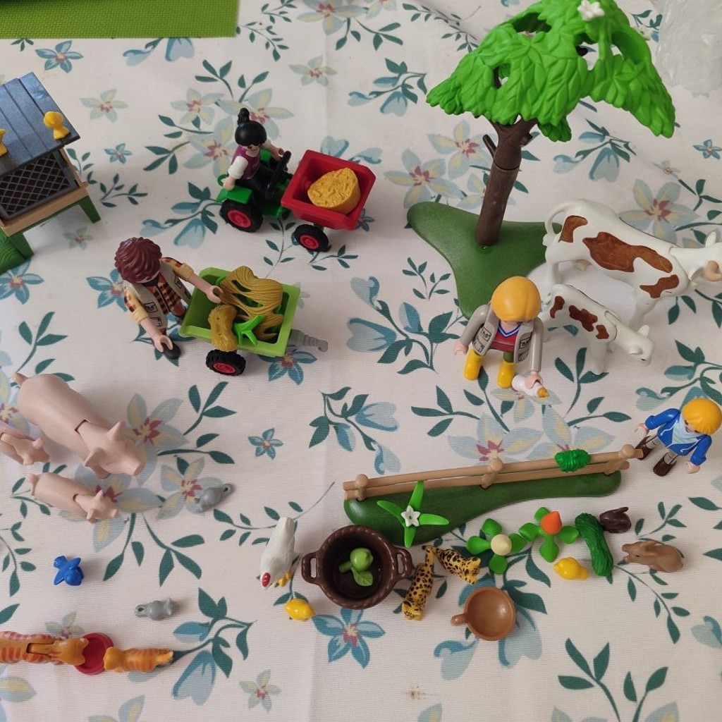 Набор Playmobil Country